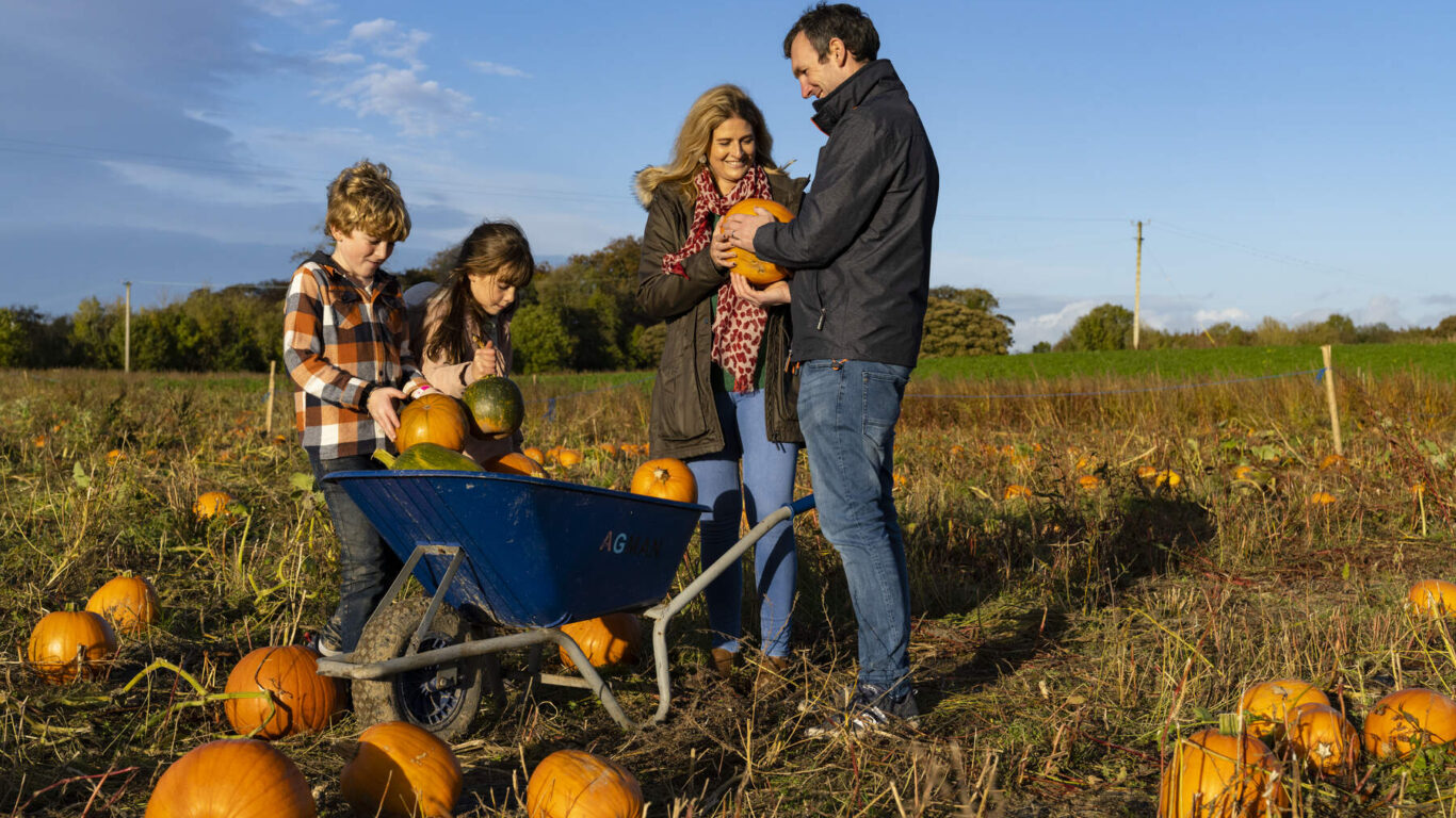 Alright Pumpkin Patch, Fordstown, Navan, Co Meath_Web Size