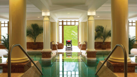 Spa Vitality Pool Chair