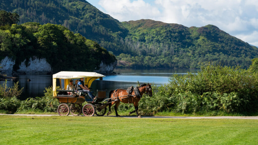 muckross killarney horse and cart