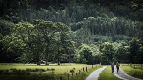 Killarney National Park