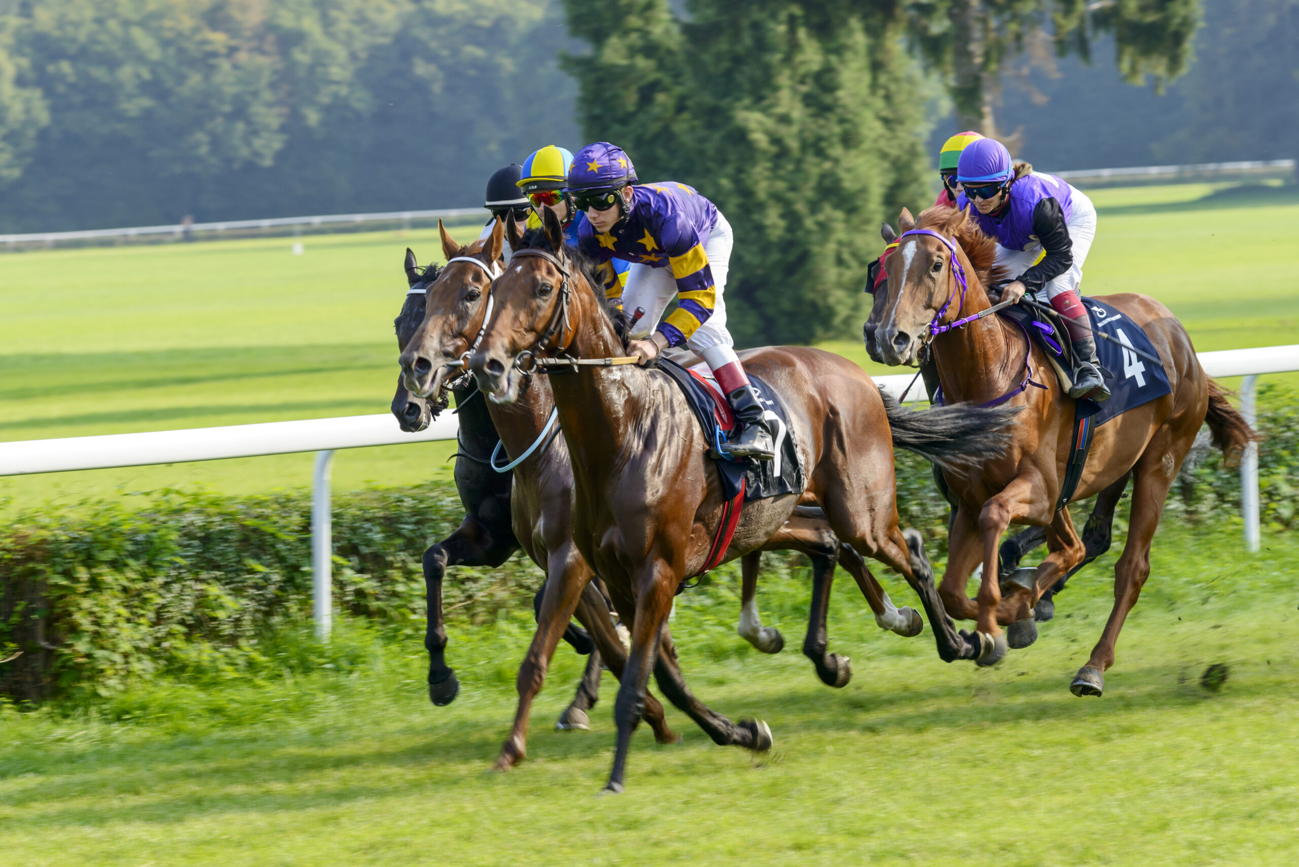 Killarney Races 2025 Guide | Dates, Events & Where to Stay
