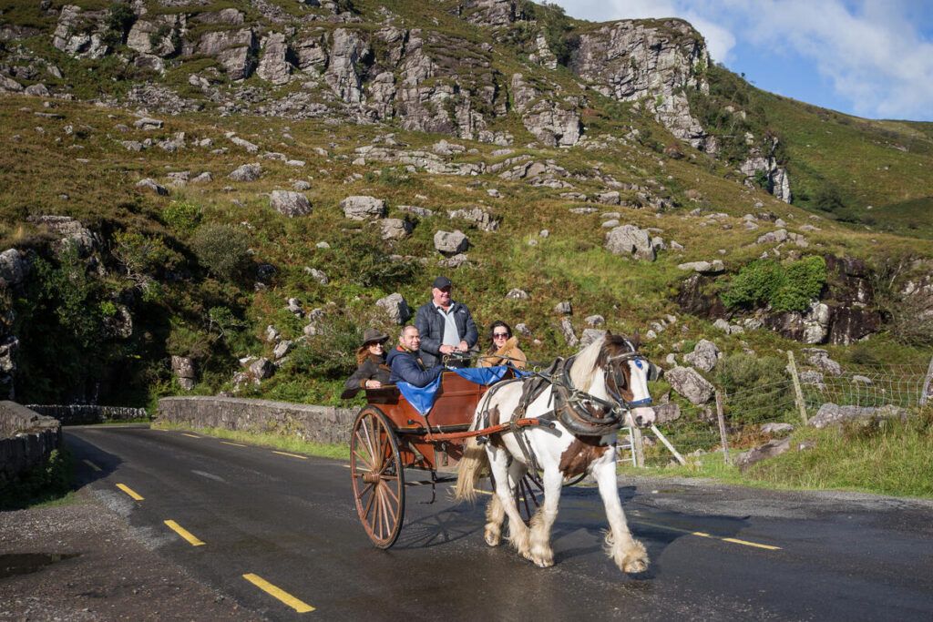 Jaunting car tour, Killarney National Park, Co Kerry