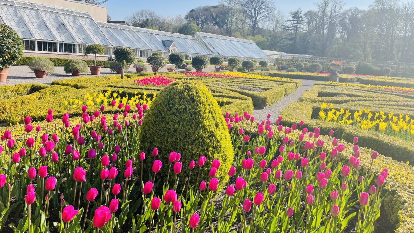 Muckross House and Gardens, Killarney National Park, Co Kerry_master