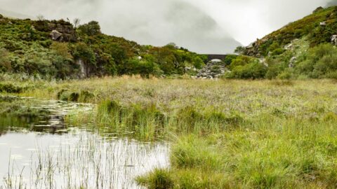 Wishing Bridge at the Gap of Dunloe_Co Kerry_PJL3804_Web Size