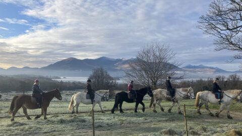 Killarney Riding Stables, Killarney National Park, Co Kerry_Web Size