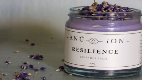 anu x ion spa products