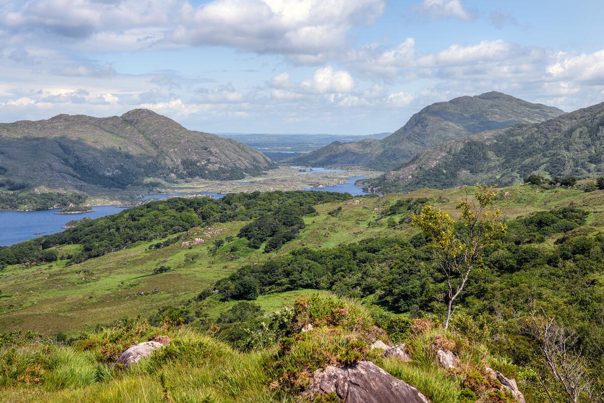 Best Things to Do in Killarney (Local Guide for 2026)
